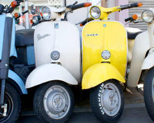 Ｄａｉｓｙ Ｍａｒｋｅｔ