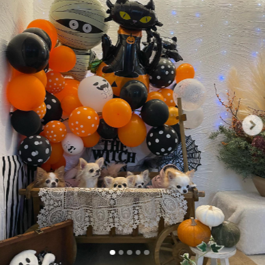 DEN CAFE（デンカフェ）